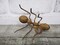 X-Small Metal Ant Wall Hanging Accent Plant Decor Farmhouse Yard Garden